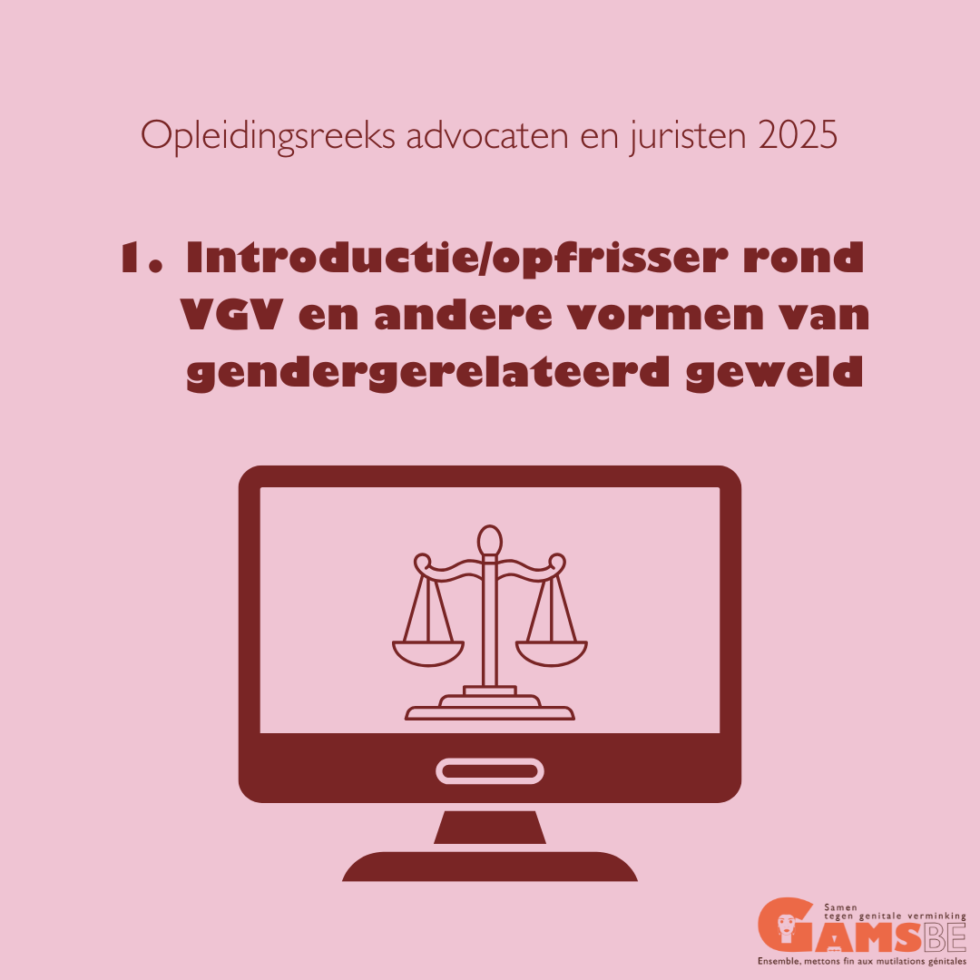 Introductie/opfrisser rond VGV en andere vormen van gendergerelateerd geweld