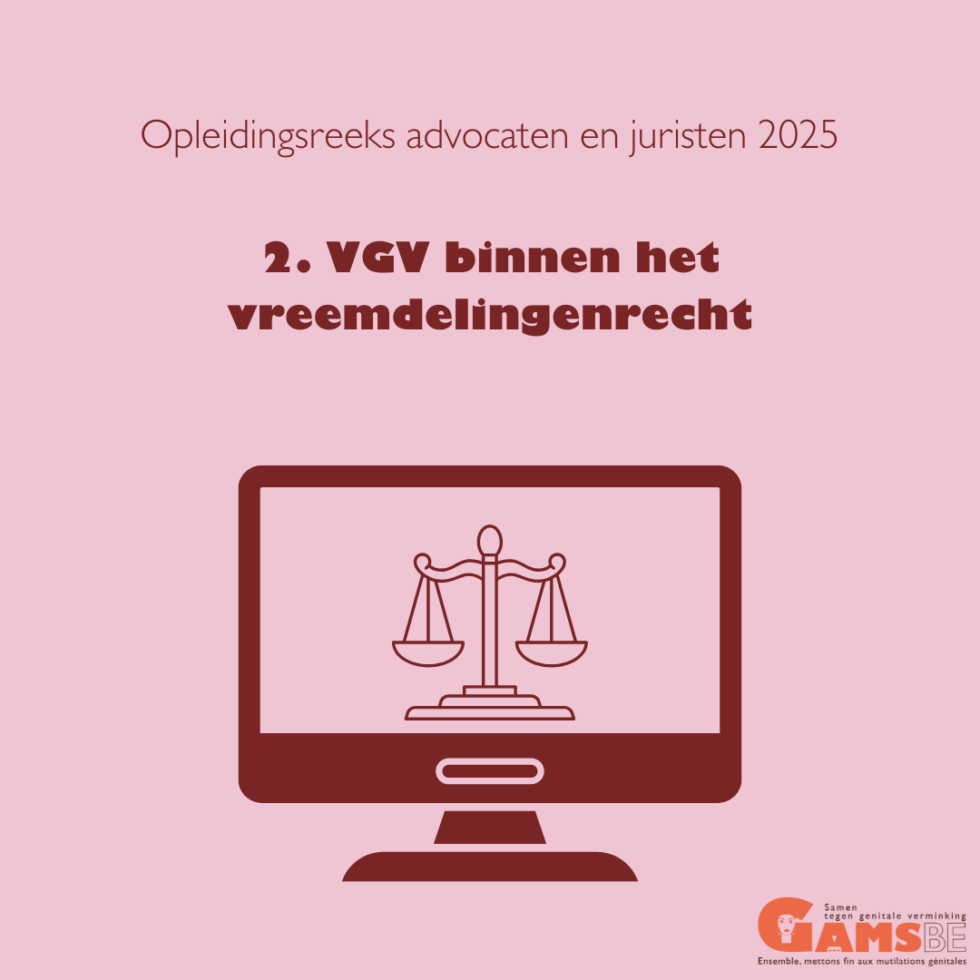 VGV binnen het vreemdelingenrecht