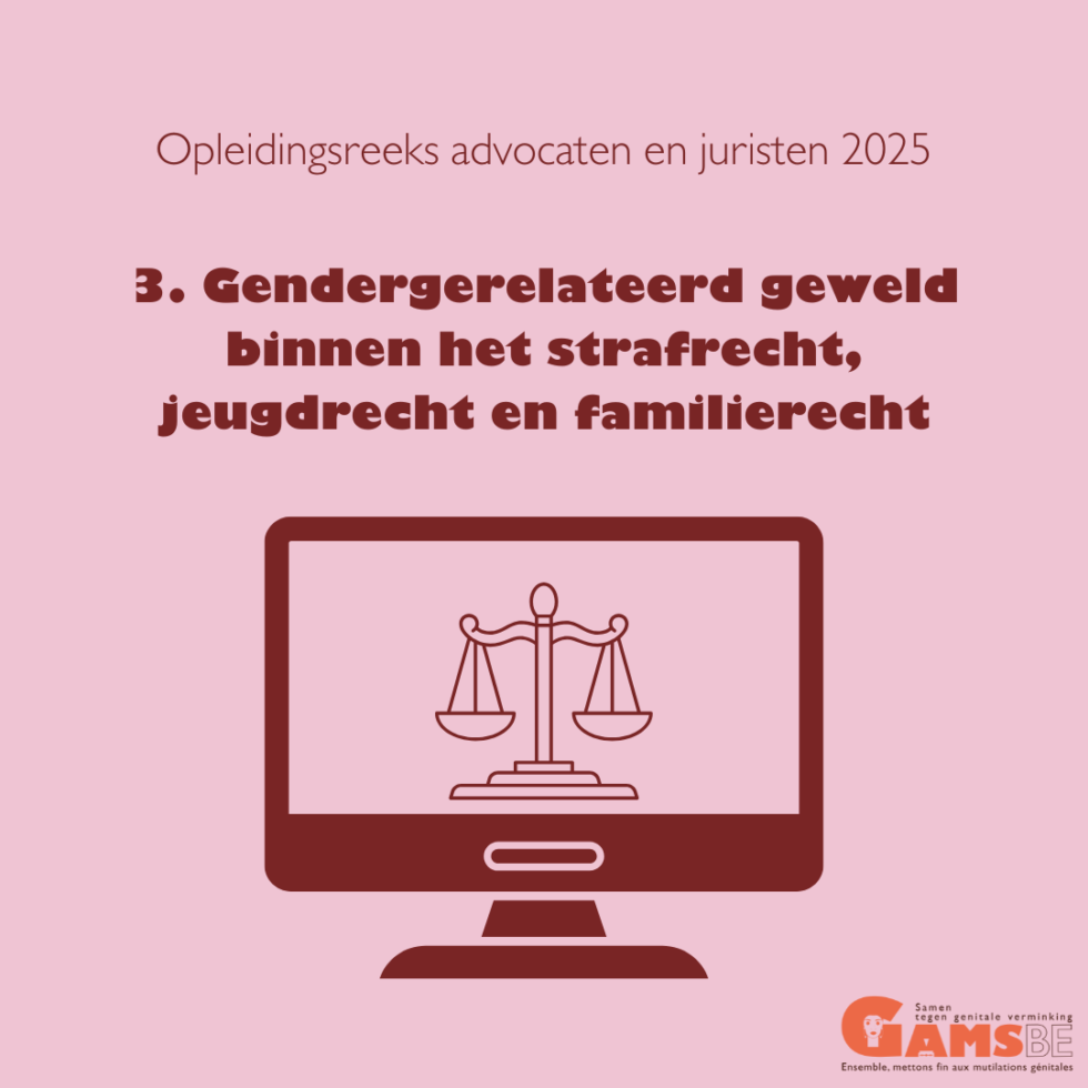 Gendergerelateerd geweld binnen het strafrecht, jeugdrecht en familierecht