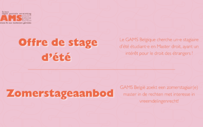 Offre stage d&rsquo;été juridique – Aanbod juridische zomerstage